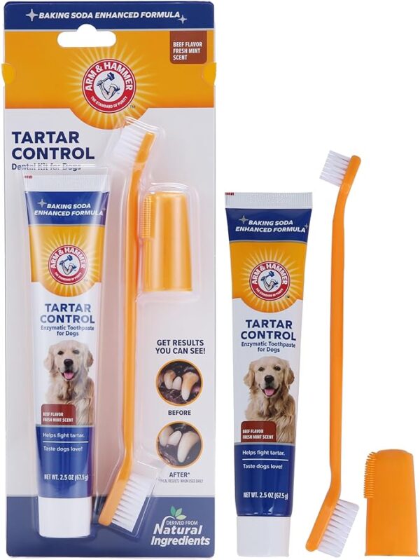 Arm & Hammer Dog Dental Care Tartar Control Kit for Dogs | Contains Toothpaste, Toothbrush & Fingerbrush | Reduces Plaque & Tartar Buildup | Safe for Puppies, 3Piece Kit, Beef Flavor